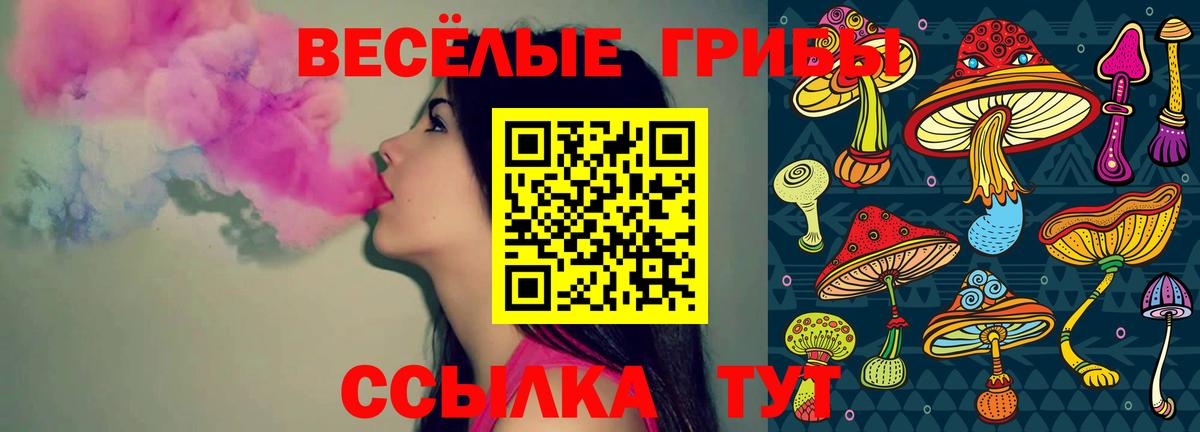 Псков  Псилоцибиновые грибы Psilocybine cubensis  Вход с VPN  Галлюциногенные грибы Psilocybe 